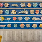 Oceans Oceanfront Pool Sleeps 15 In Sur 别墅